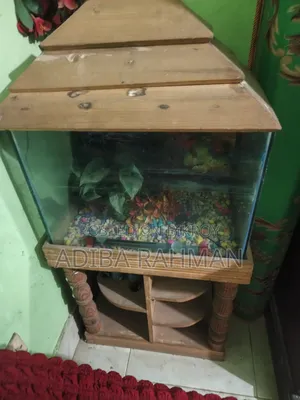 Fish Aquarium