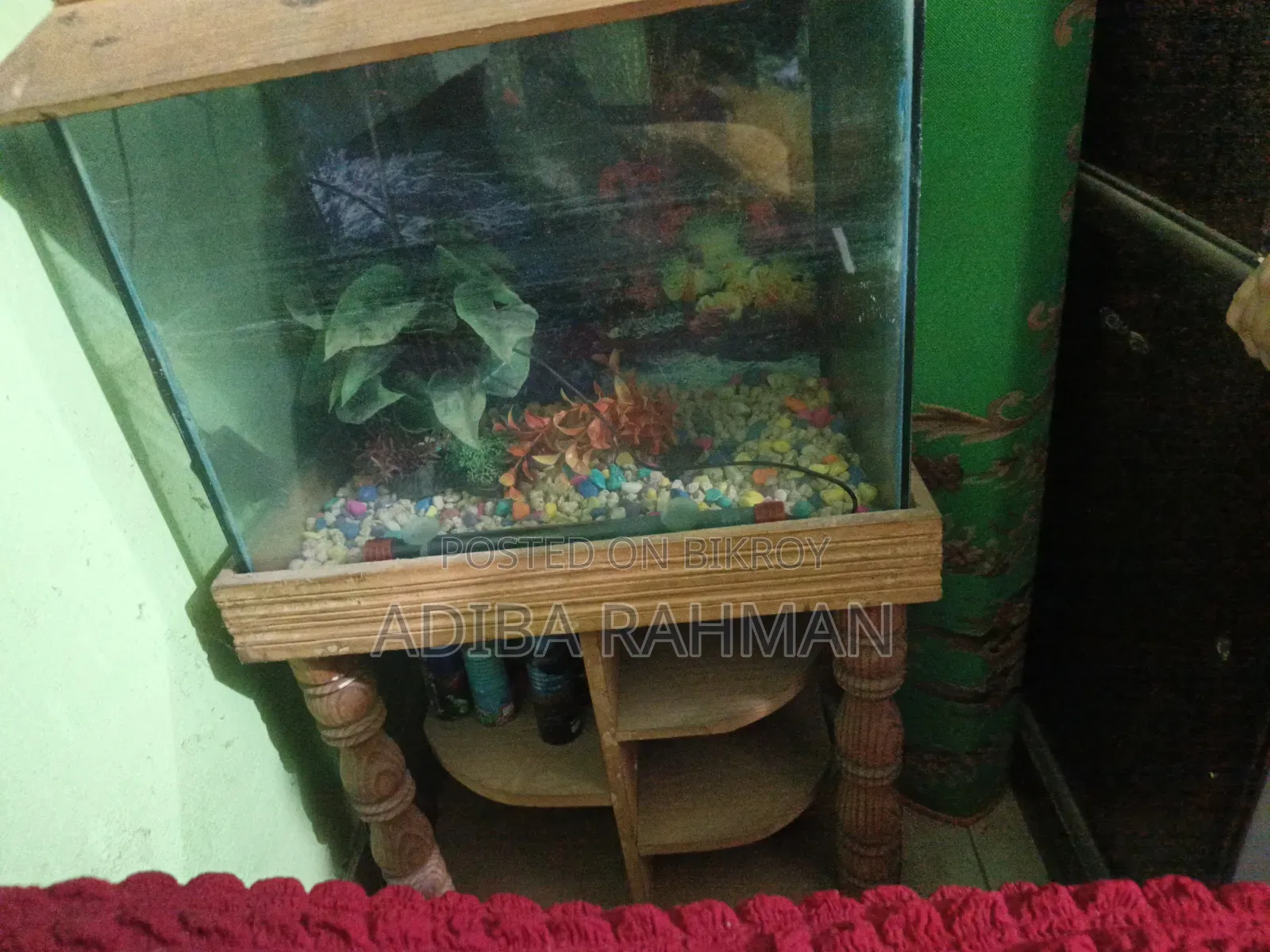 Fish Aquarium