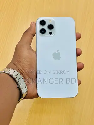 Apple iPhone 12 Pro Max 256 GB Silver