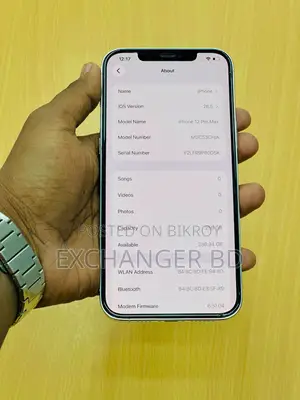 Apple iPhone 12 Pro Max 256 GB Silver