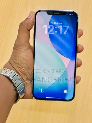 Apple iPhone 12 Pro Max 256 GB Silver
