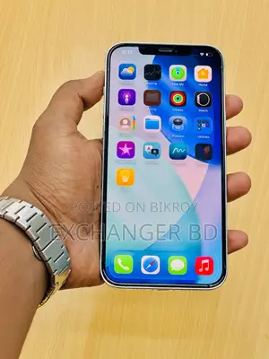 Apple iPhone 12 Pro Max 256 GB Silver