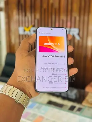 Vivo X200 Pro mini 256 GB Gray