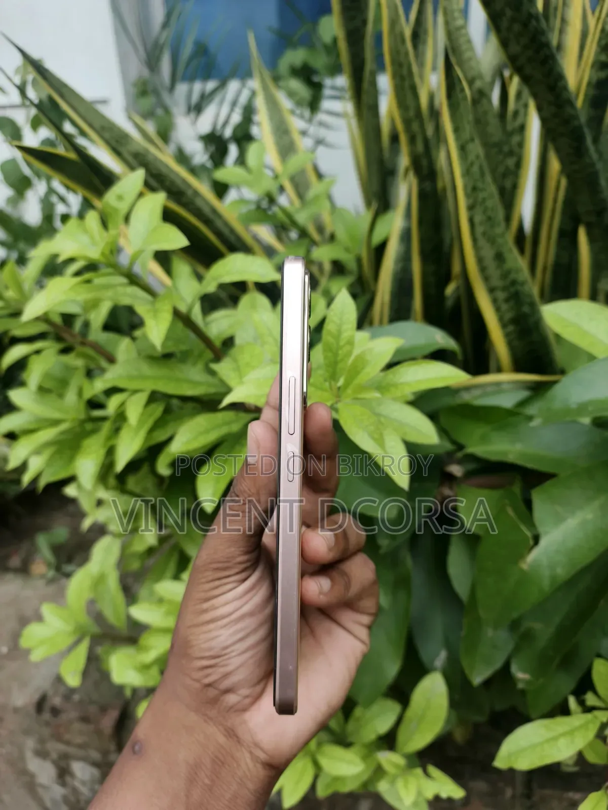 Vivo V29 256 GB Rose Gold
