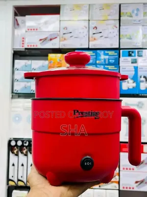 Mini Electronic Rice Cooker