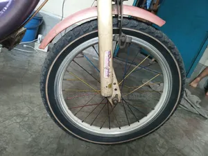 বাচ্চাদের বাইসাইকেল