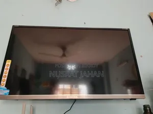Singer LED TV