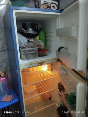 Sharp Fridge
