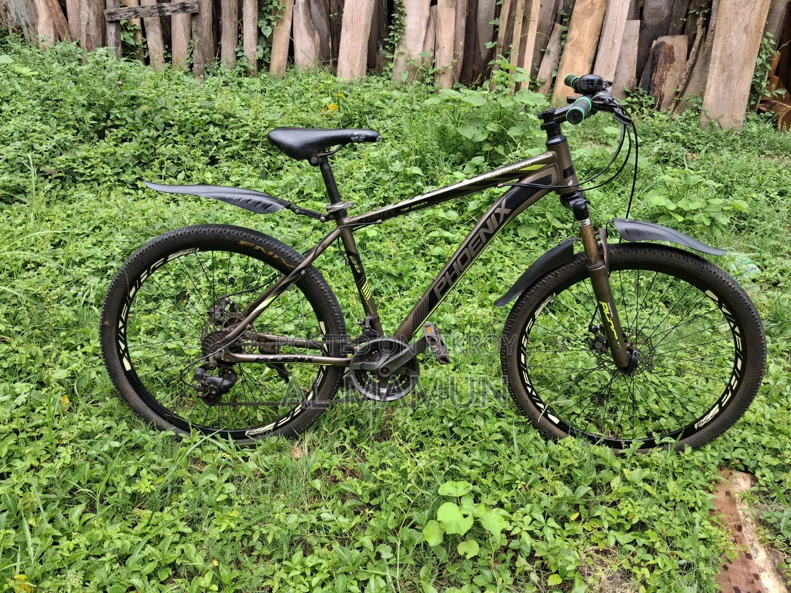 Phoenix Gear Bicycle
