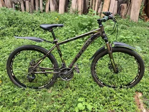 Phoenix Gear Bicycle