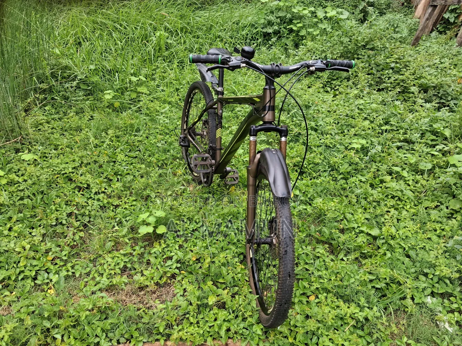 Phoenix Gear Bicycle