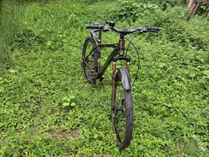 Phoenix Gear Bicycle