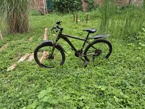Phoenix Gear Bicycle