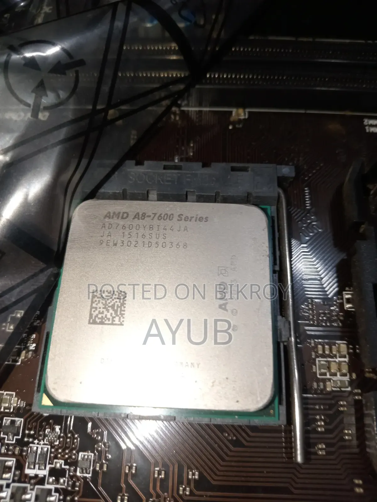 Amd Processor