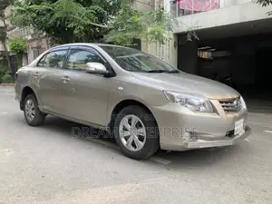 Toyota Axio 2011 Beige
