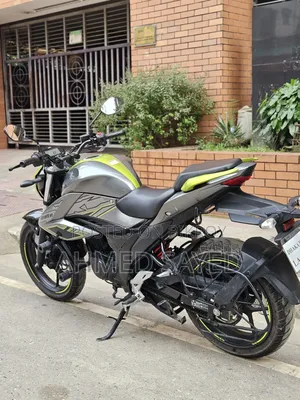 Suzuki 2025 Gray