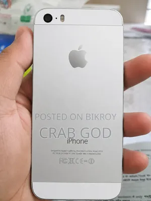 Apple iPhone 5s 64 GB Silver