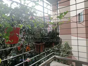 গাছ অনেক অনেক গাছ