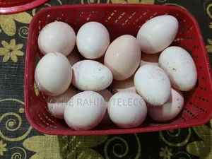 Deshi Chicken Eggs and Chicks