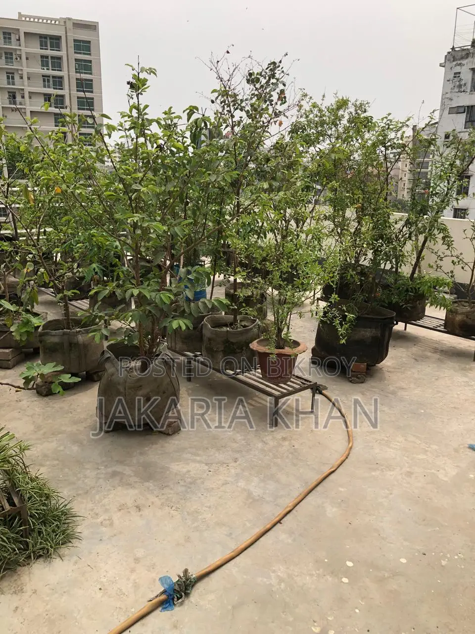 10-Bedroom House in Khilkhet for Sale