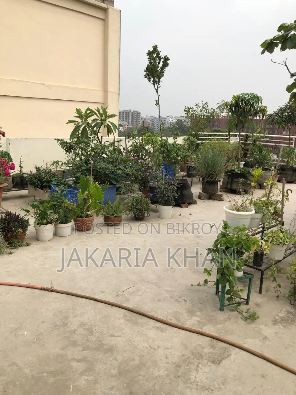 10-Bedroom House in Khilkhet for Sale