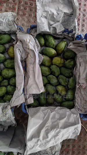Amropali Mango
