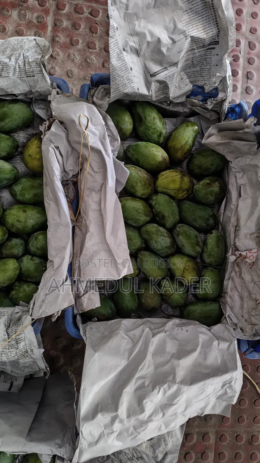 Amropali Mango