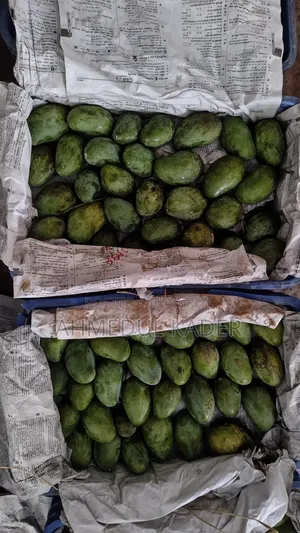 Amropali Mango
