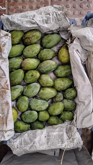 Amropali Mango