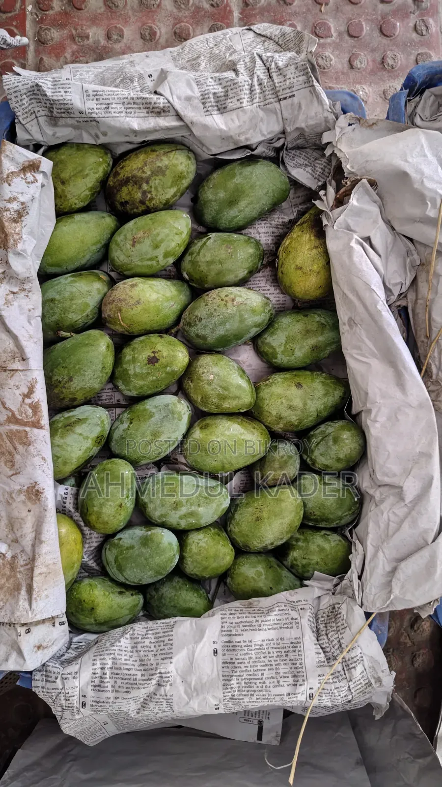 Amropali Mango