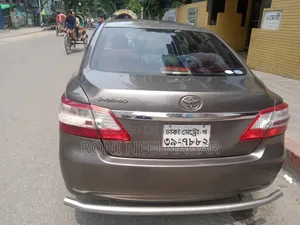 Toyota Premio 2011 Gray