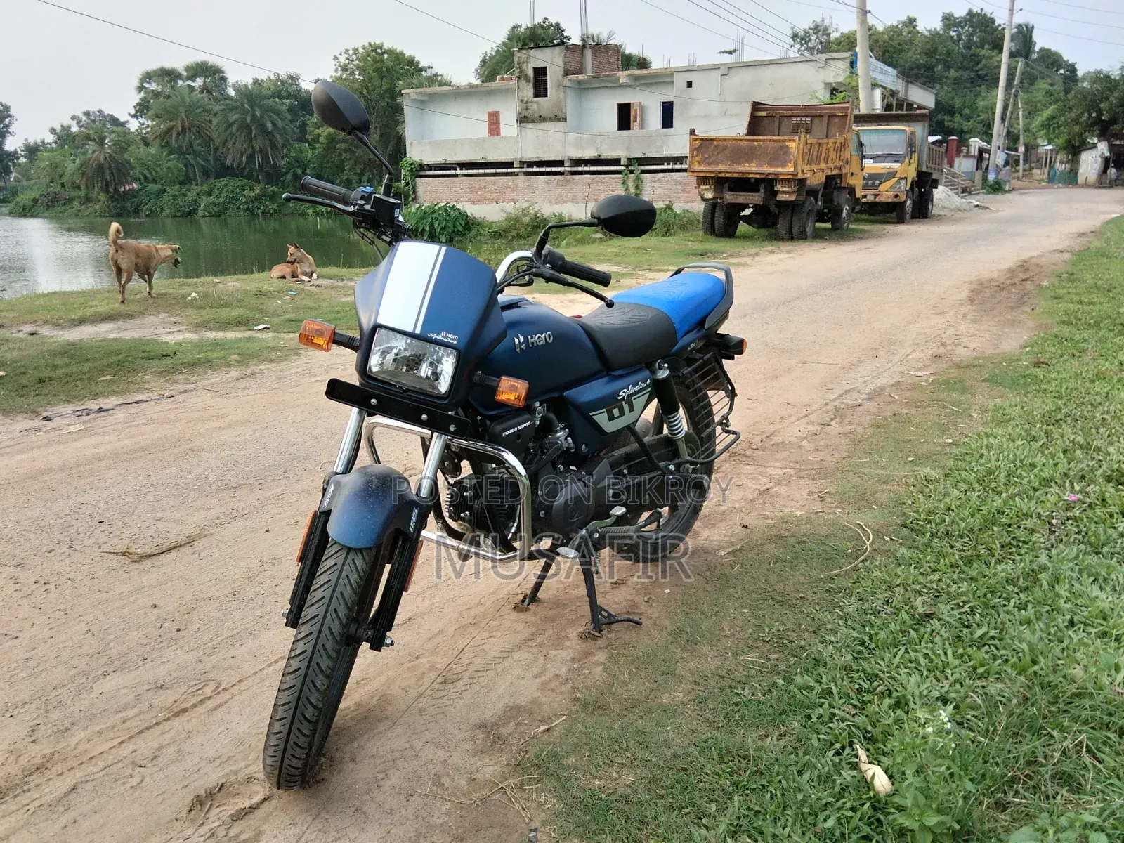 Hero Splendor Plus Sports 2026 Blue