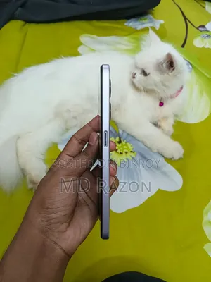Oppo A97 256 GB
