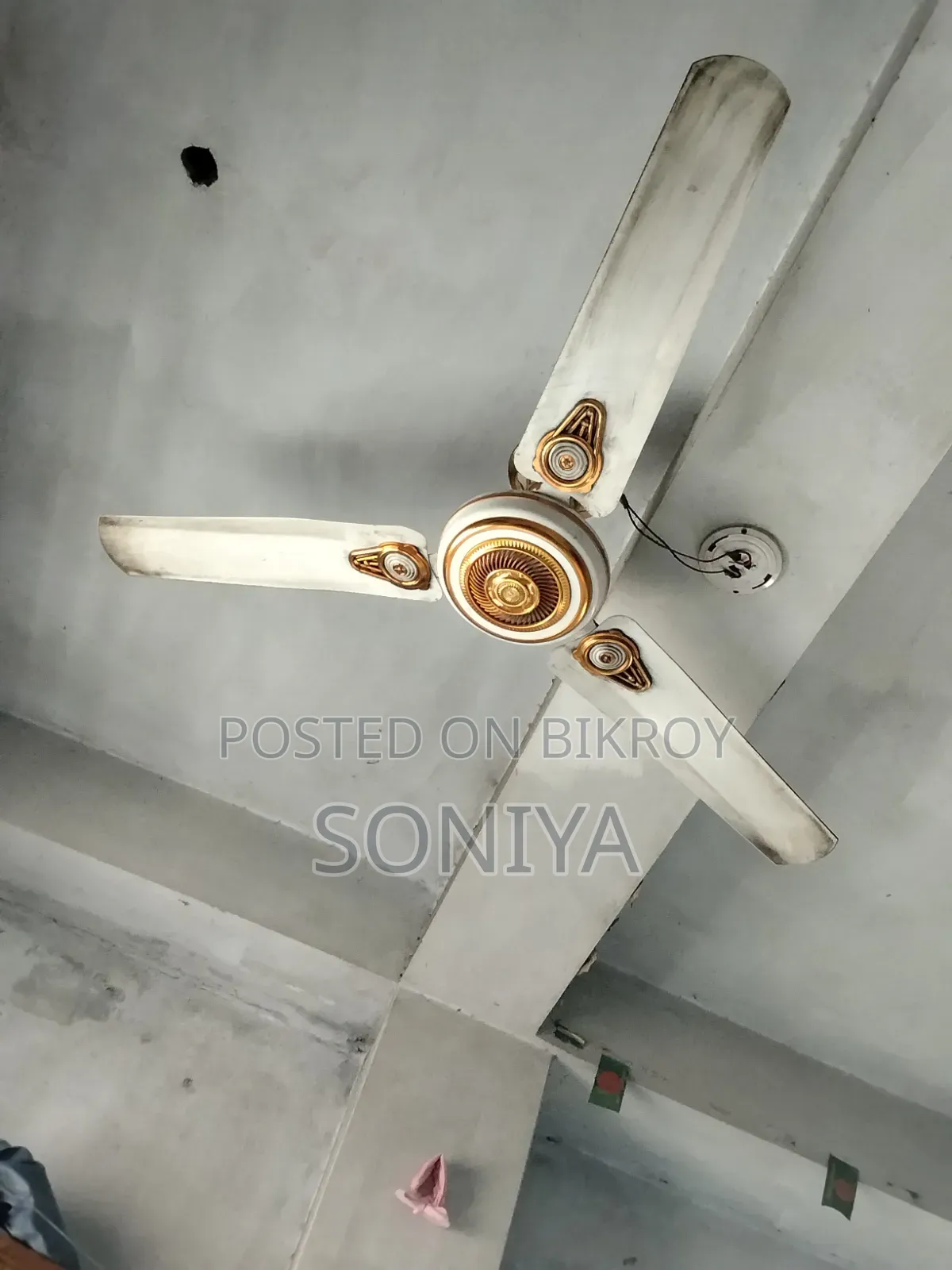 Selling Fan