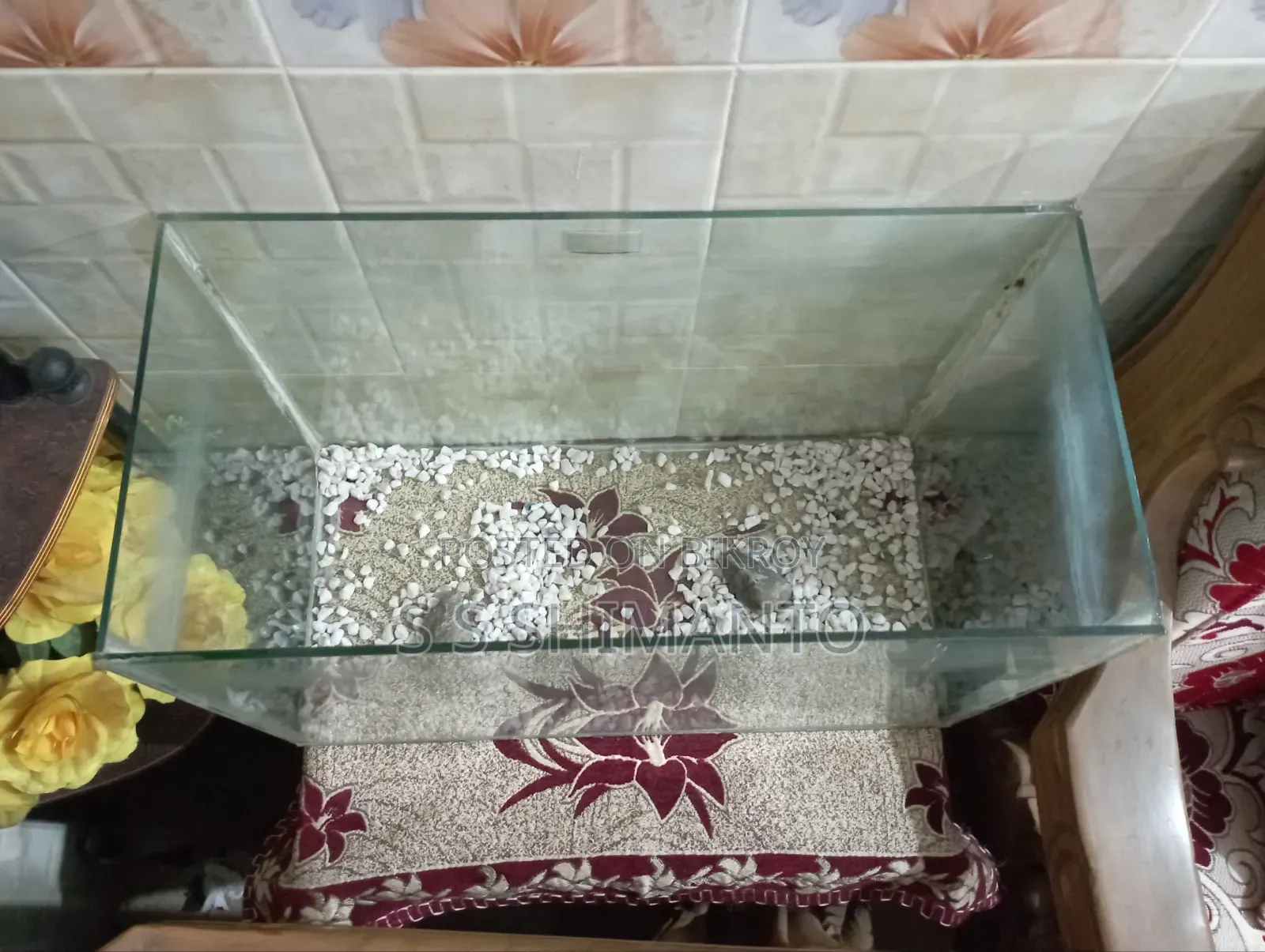 19/9 Aquarium