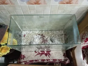 19/9 Aquarium