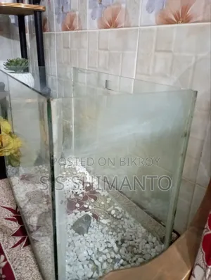 19/9 Aquarium