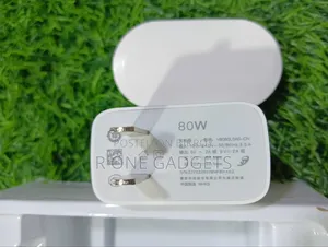 Vivo 80w Original Flash Charger