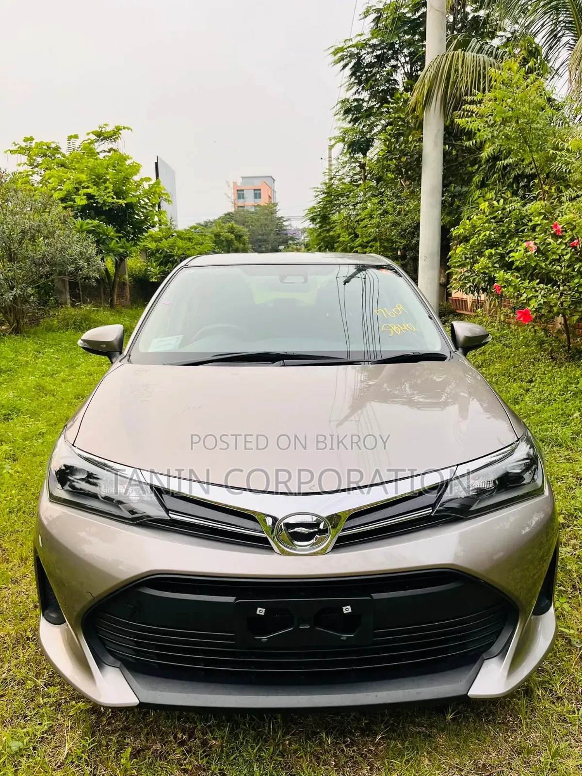Toyota Axio 2022 Brown