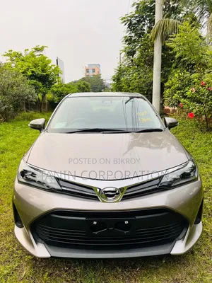 Toyota Axio 2022 Brown