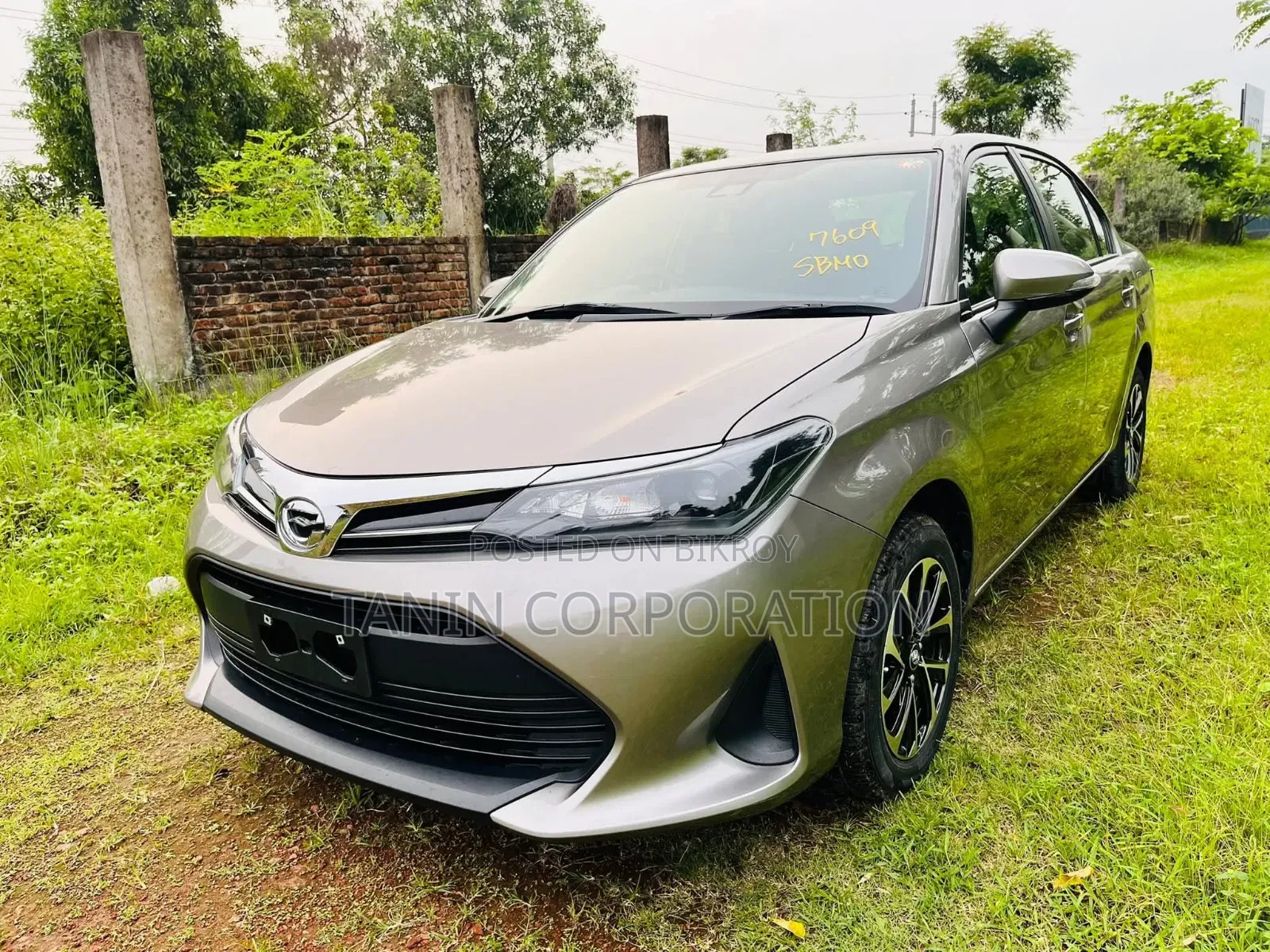 Toyota Axio 2022 Brown