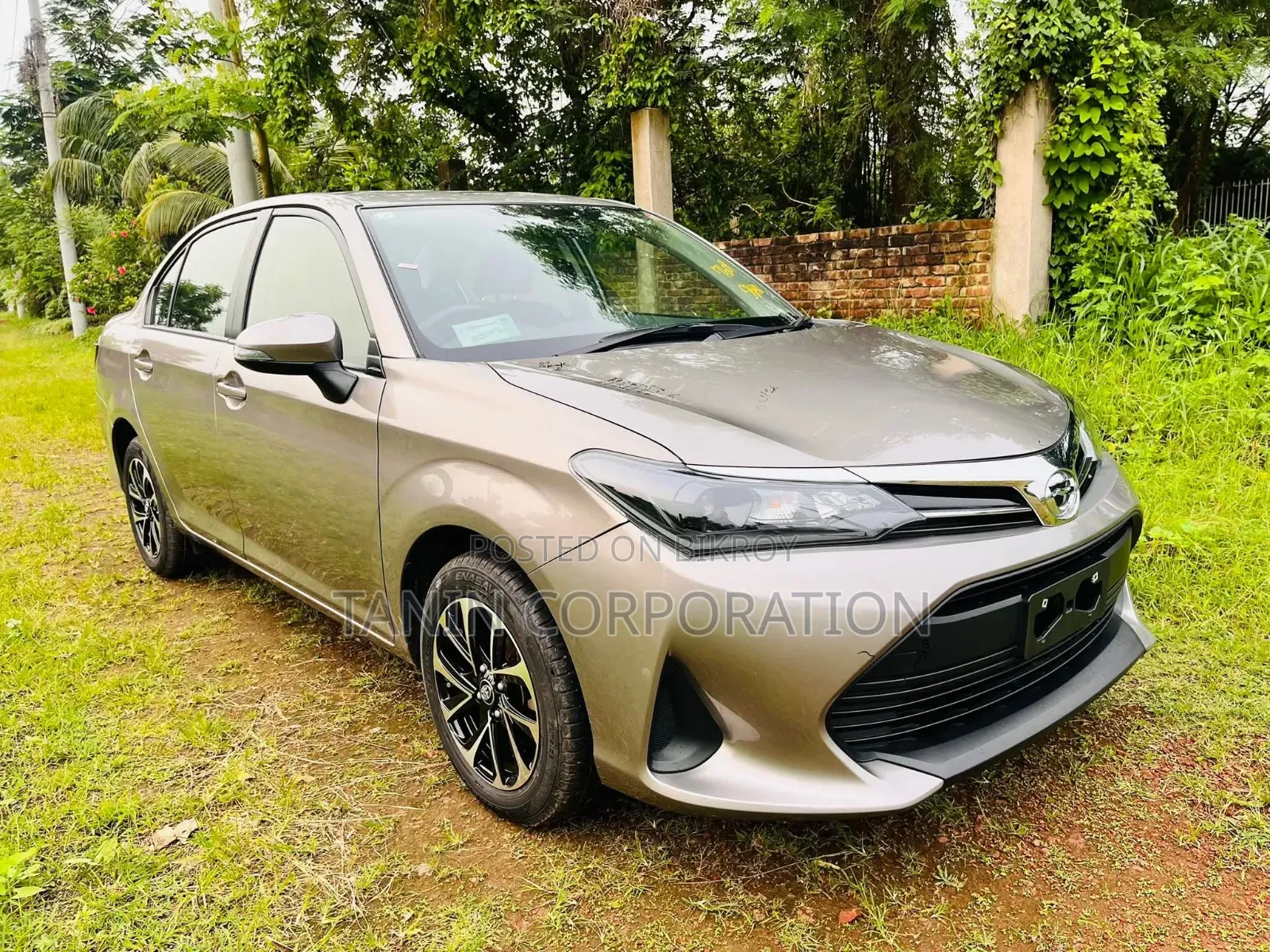 Toyota Axio 2022 Brown