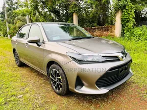 Toyota Axio 2022 Brown