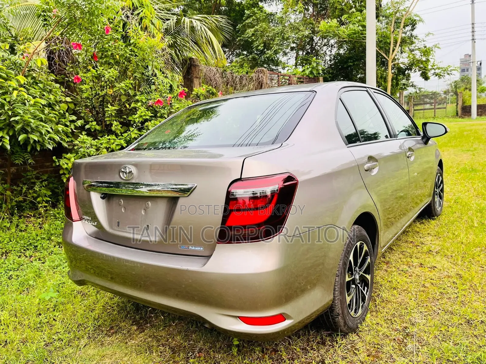 Toyota Axio 2022 Brown