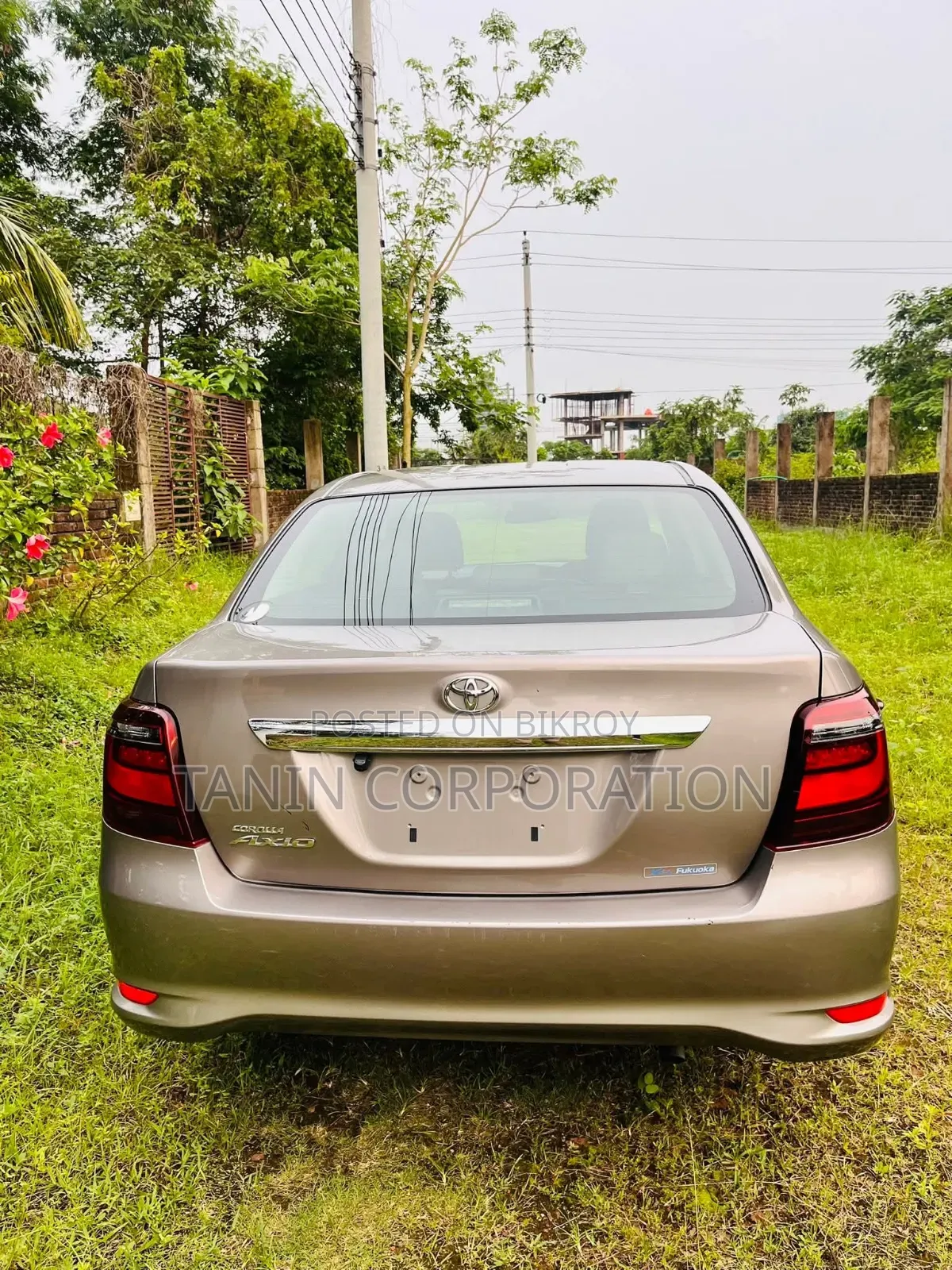 Toyota Axio 2022 Brown