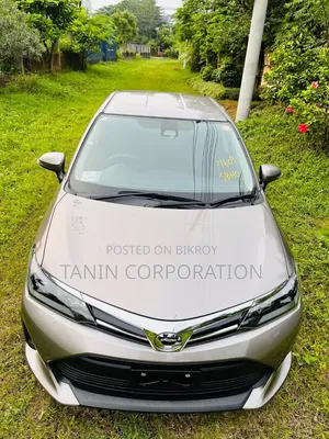 Toyota Axio 2022 Brown