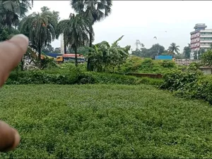 Land next to Baroirhat Highway