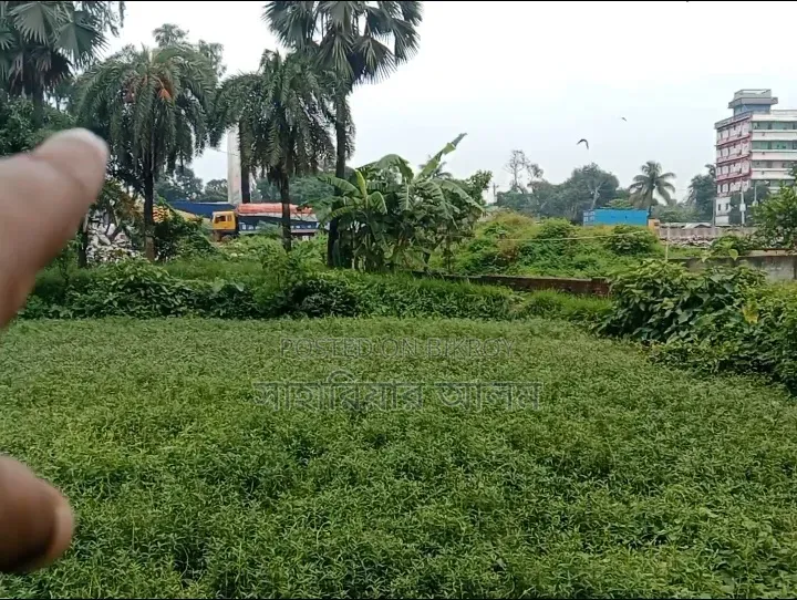 Land next to Baroirhat Highway