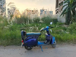 Bajaj Chetak 1996 Blue