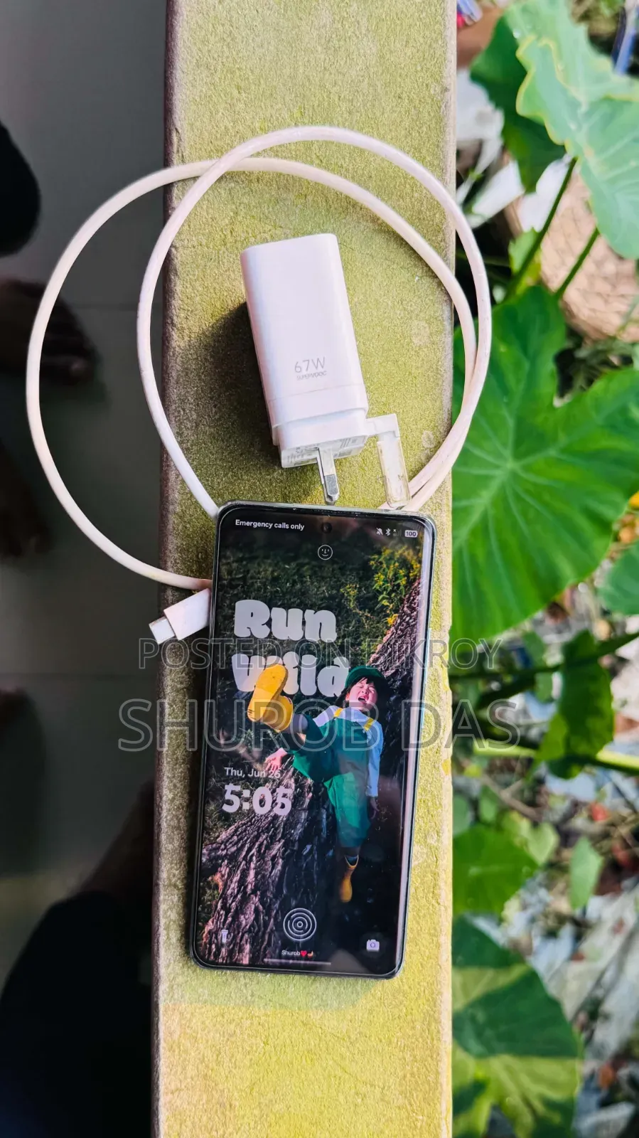 Oppo Reno11 256 GB Green